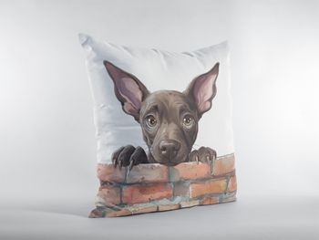 P-8650-xoloitzcuintli