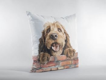P-8783-otterhound