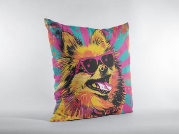 PAPR-54-pomeranian