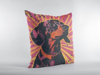 PAPR-72-dachshund